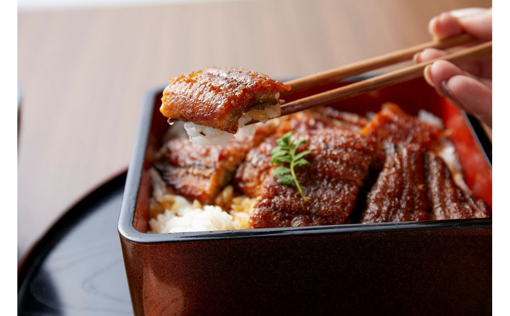 〈堀忠〉鰻蒲焼き　特大3尾〈高島屋選定品〉