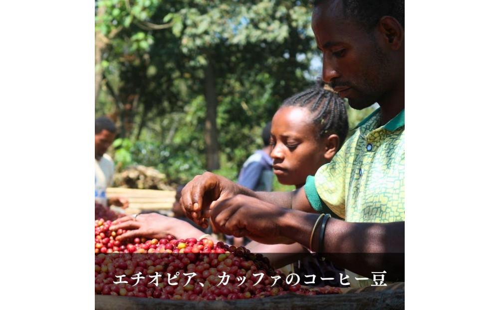 ガルテンビコーヒー 2種飲み比べセット　豆のまま　500g（250ｇ×2袋）