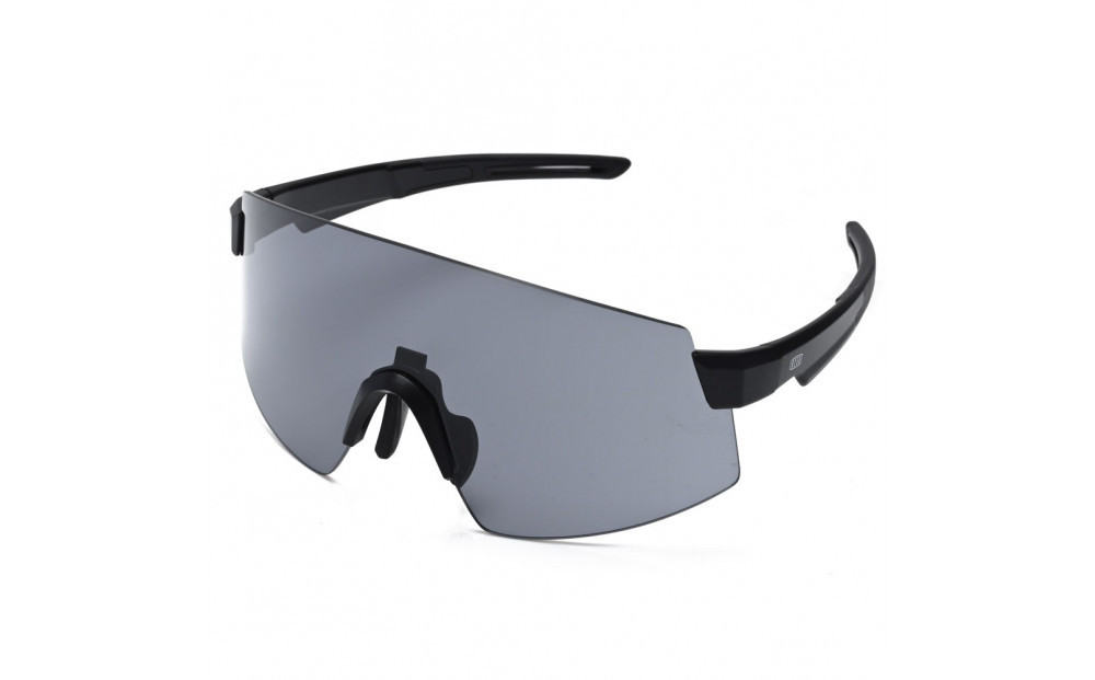 R250 EW301 アイウェア  フレーム：ブラック レンズ3枚付