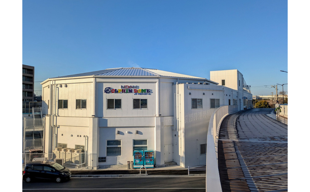 ノアドルフィンドーム　浅瀬でイルカと遊ぶ体験 ペア入場券付