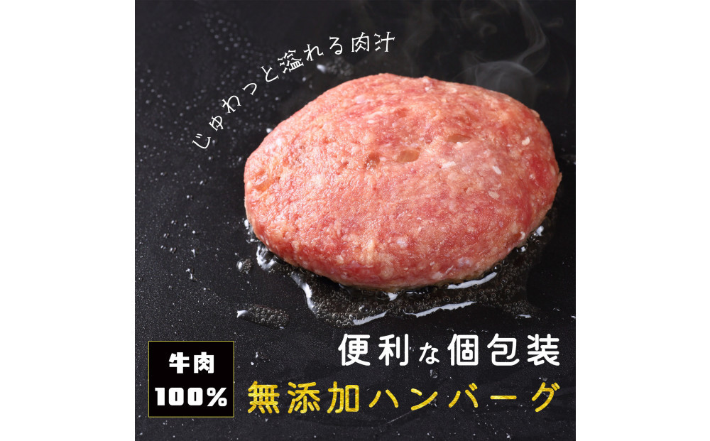 化学調味料保存料不使用無添加 牛肉100％ ハンバーグ 120g×10個セット