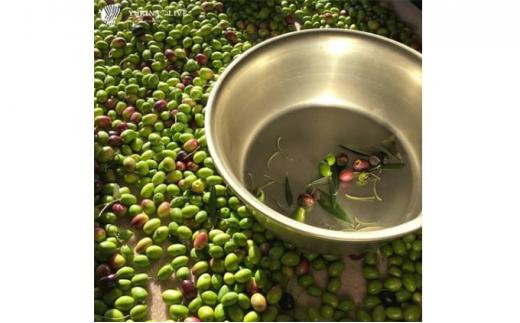 YURINA OLIVE 堺産プレミアムエキストラバージンオリーブオイル【ミッション種】