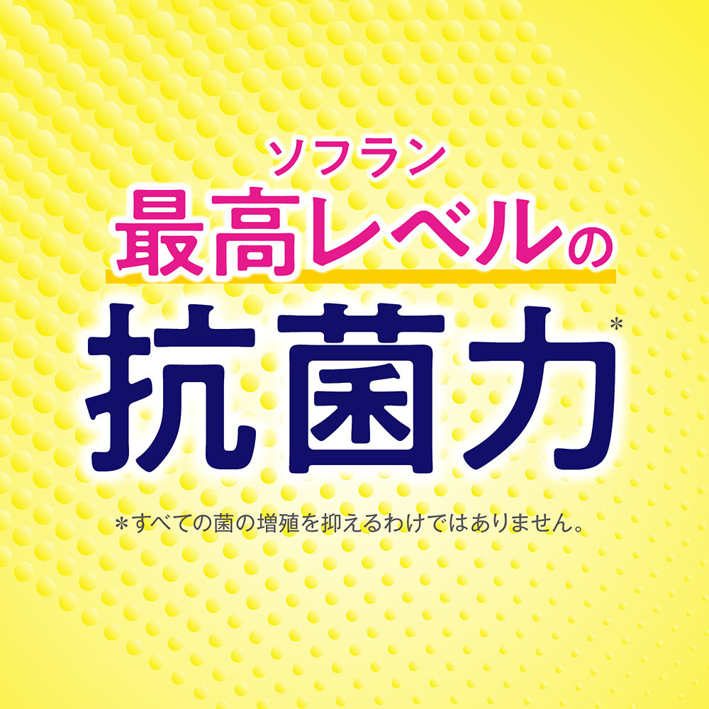 ライオン「お洗濯セット」(PRO替超特大 1010g×3袋＋ソフランPSソープ替380g×4袋)【洗濯洗剤 柔軟剤 詰め替え 液体 人気 おすすめ 洗濯グッズ 日用品 消耗品 通販 送料無料 ふるさと納税 大阪 堺市】