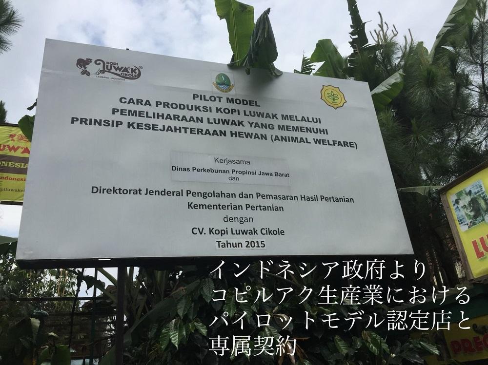 【定期便　全6回】最高級コーヒー コピルアク 100g【中挽き（ペーパードリップ、珈琲メーカー）】