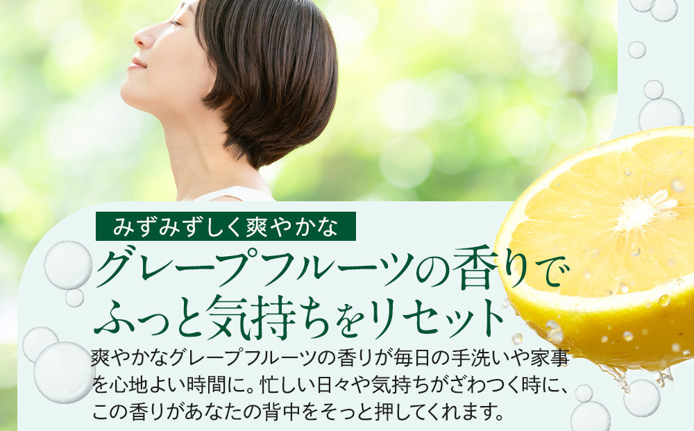 バーデンス　ボディシャンプーB　詰替え 400ml 2本セット