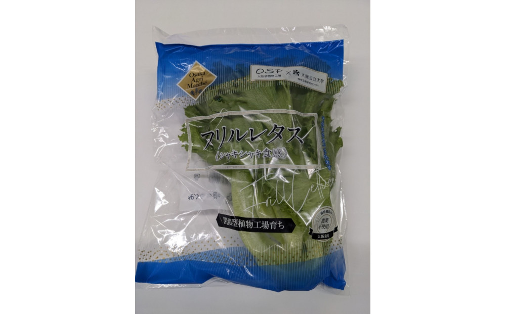 Osaka Agri Marche フリルレタス・バタビアレタス