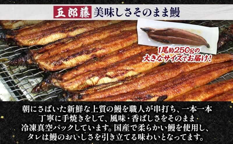 関西風うなぎ地焼き特大 冷凍真空 4尾×250g  うなぎ ウナギ タレ 老舗 伝統 蒲焼き 小分け 丑の日 ひつまぶし うな重 お取り寄せ グルメ プレゼント 贈答 贈り物 土用の丑の日 五郎藤 大阪府 堺市