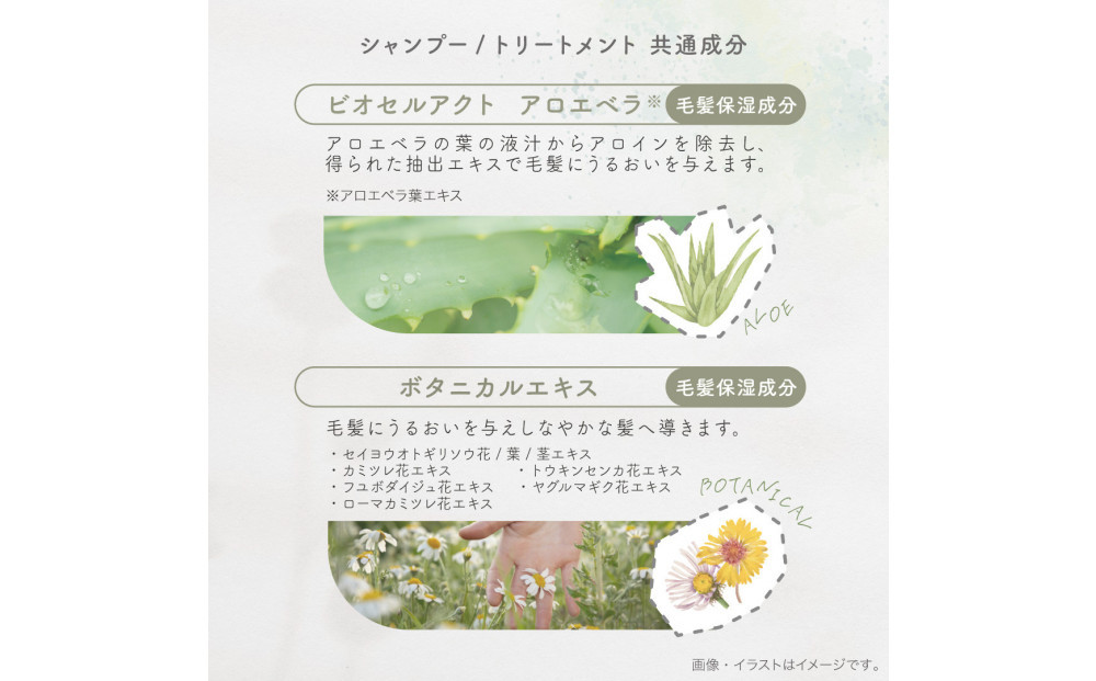 eco HBS シャンプー【フルーティーフローラル】eco HBS シャンプー500mL,1700mL＋トリートメント500g,1700g 4点セット