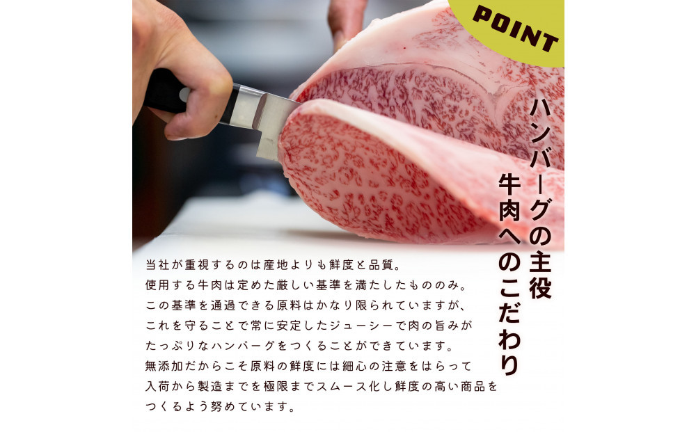 化学調味料保存料不使用無添加 牛肉100％ ハンバーグ 120g×10個セット