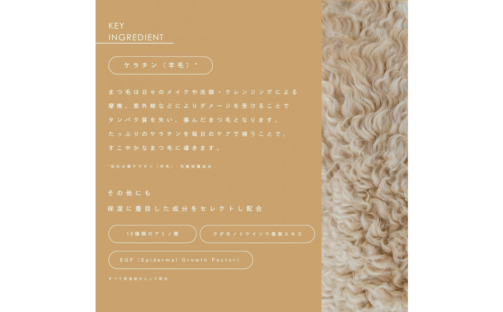 ザアイラッシュセラム トリートメント＋キープ2本セット