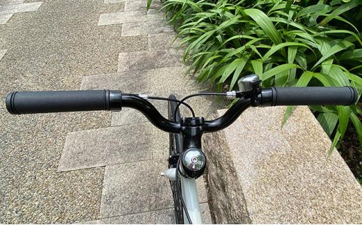 POSTINO シングルスピードバイク 700×28C【ホワイト×ブラック】P601【フレームサイズ460mm】