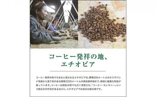 【粉】#123 エチオピア モカ シャキッソ ナチュラル G1 コーヒー豆 310g 当日焙煎 大山珈琲