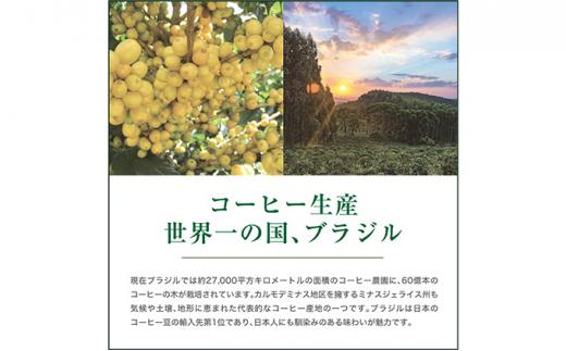 【中挽き】珈琲 スペシャルティーコーヒー豆ブラジル カルモデミナス Qグレード 600g