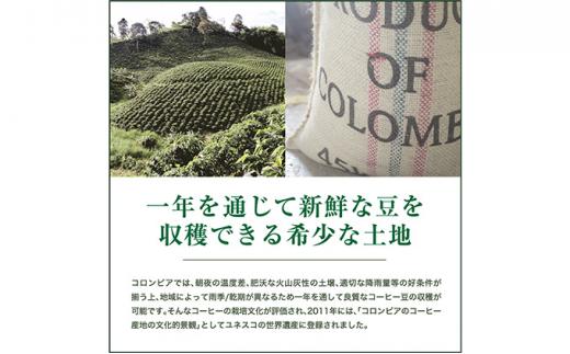 【中挽き】珈琲 スペシャルティーコーヒー豆コロンビア エキセルソ Qグレード 600g