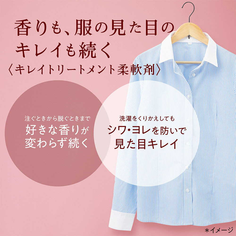 ソフラン アロマリッチ ダイアナ つめかえ用750ml×6袋【 ソフラン 柔軟剤 香り 詰め替え 詰替え 洗濯 アロマ セット 人気 おすすめ 衣類用 日用品 消耗品 大阪 堺市】