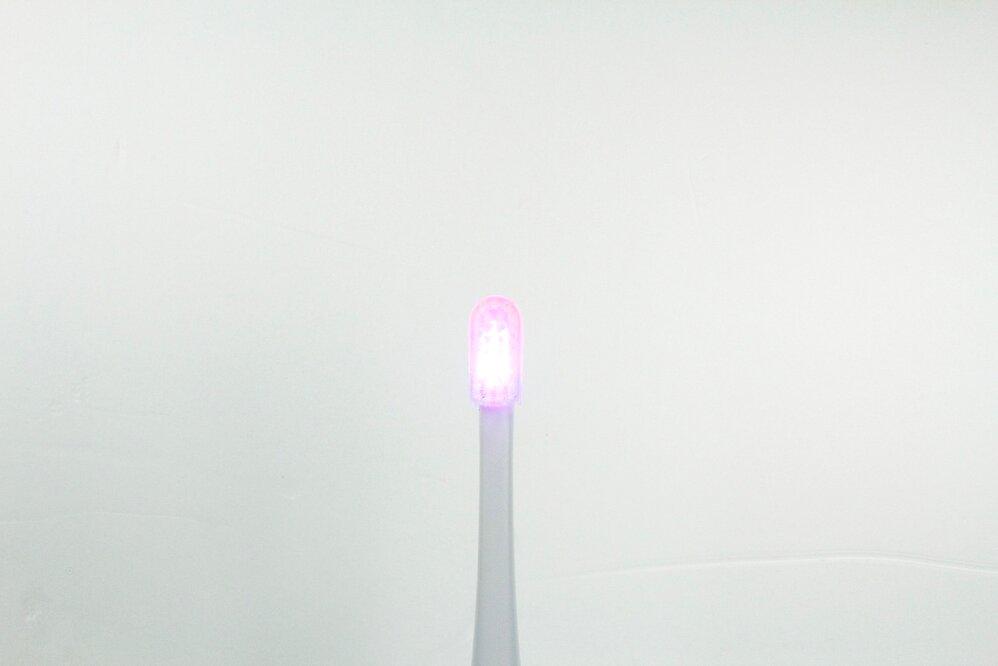 プラチナムラボ　プロテクトフォース スタンダード　LEDライト　ホームホワイトニング