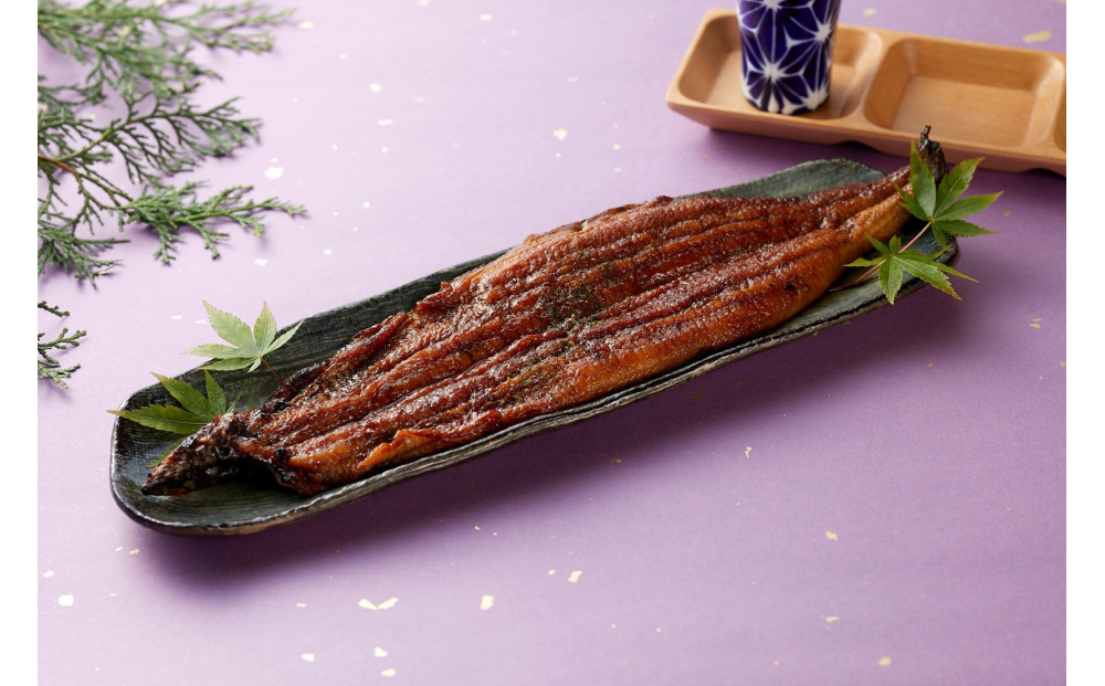 〈堀忠〉鰻蒲焼き　特大3尾〈高島屋選定品〉