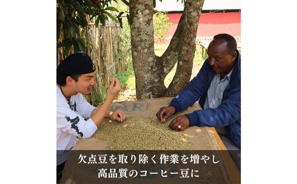 ガルテンビコーヒー 2種飲み比べセット　豆のまま　500g（250ｇ×2袋）