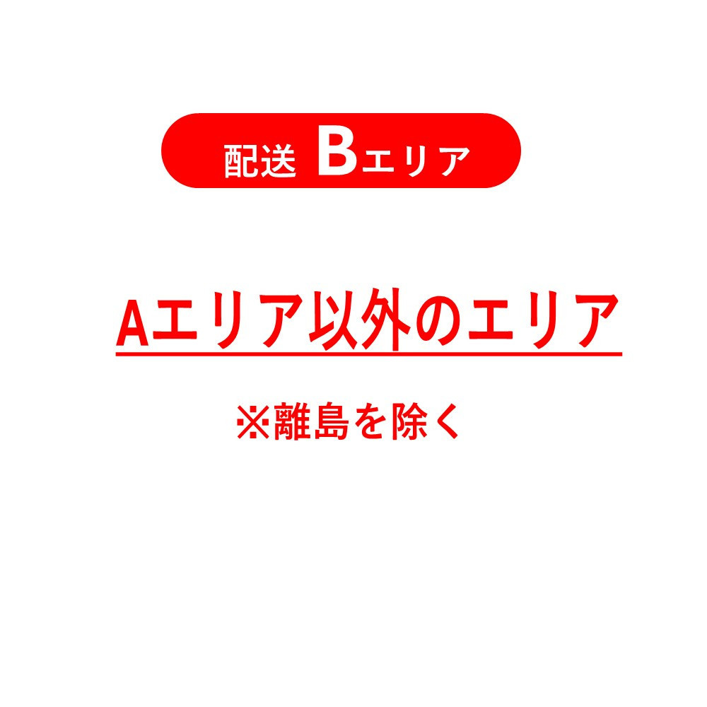 【サカイサイクル 】6段変速/オートライト/極太タイヤ 27.5インチ ブレイクアウト・ネオ　フラットグレー
