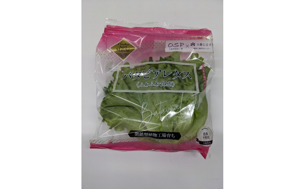 Osaka Agri Marche フリルレタス・バタビアレタス