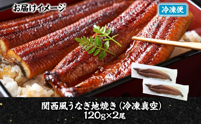 関西風うなぎ地焼き 冷凍真空 2尾×120g うなぎ ウナギ タレ 老舗 伝統 蒲焼き 真空パック 小分け 丑の日 ひつまぶし うな重 お取り寄せ グルメ プレゼント 贈答 贈り物 土用の丑の日 五郎藤 大阪府 堺市