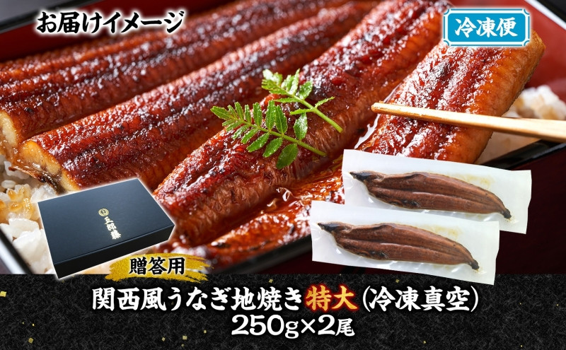 関西風うなぎ地焼き特大 冷凍真空 2尾×250g  贈答 うなぎ ウナギ タレ 老舗 伝統 蒲焼き 小分け 丑の日 ひつまぶし うな重 お取り寄せ グルメ プレゼント 贈答 贈り物 土用の丑の日 五郎藤 大阪府 堺市