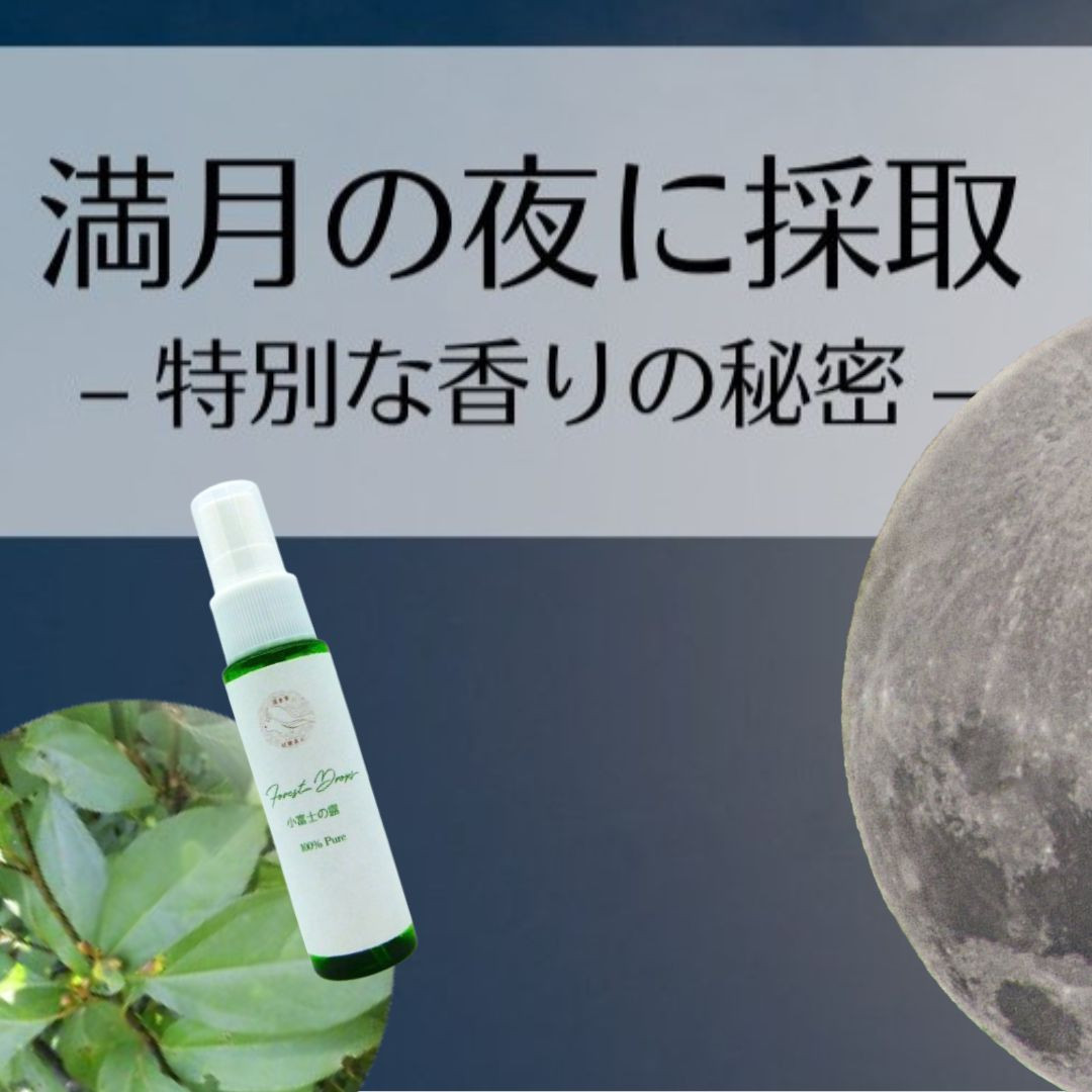 小富士の露・原始林クロモジの精2本＆美人しそ茶1p5