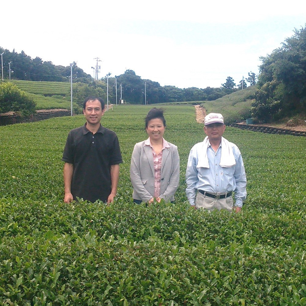 養生な抹茶_金箔入り＆美人しそ茶1p3