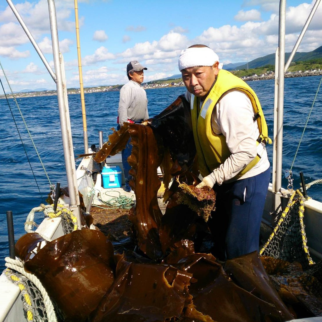 こんぶ美人・養命酢1本＆美人しそ茶1p2
