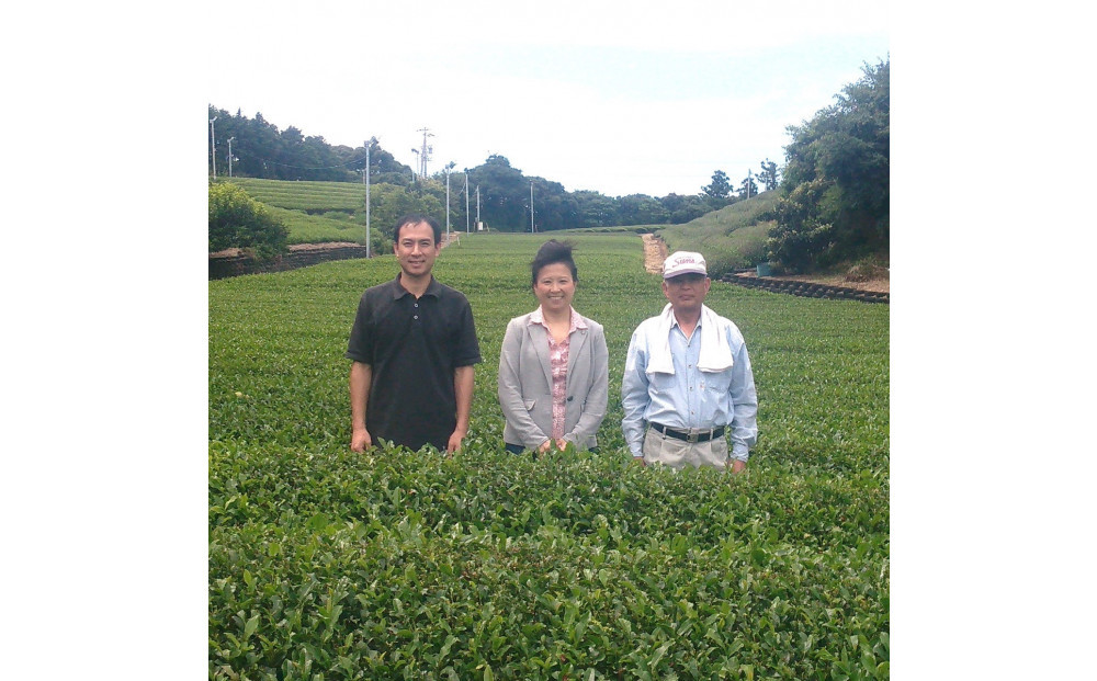 養生な抹茶　3種