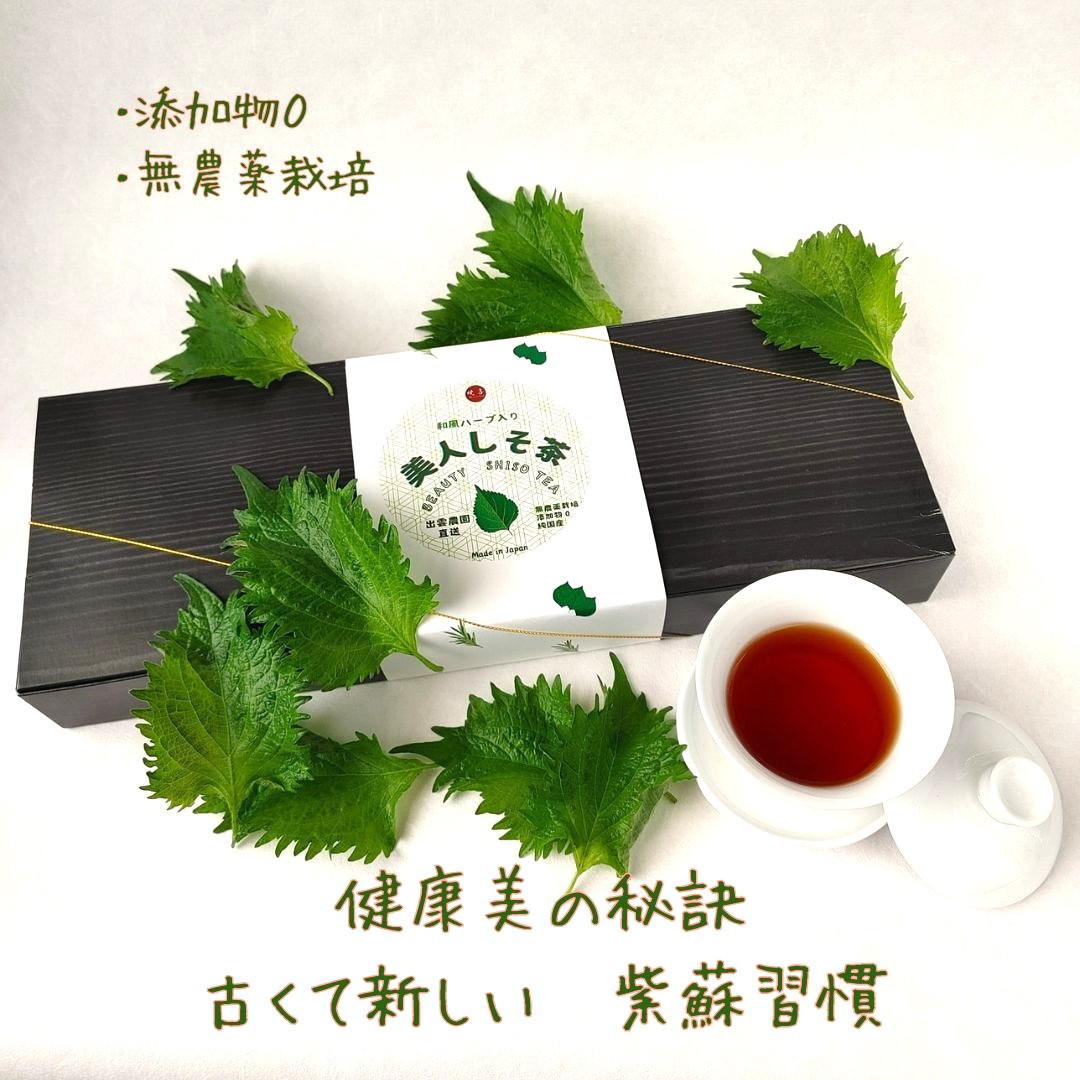 美人しそ茶_L＆10p1