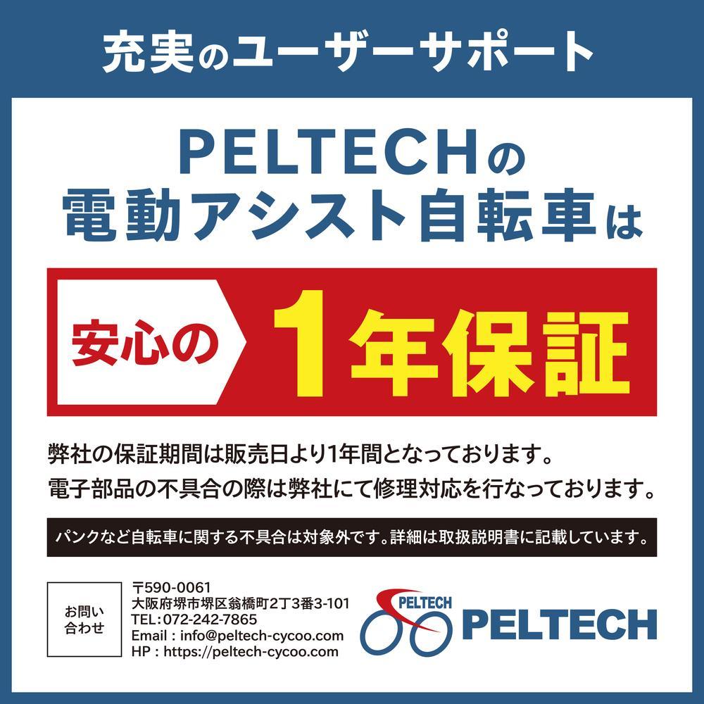 【100％完成納品】PELTECH（ペルテック）後チャイルドシート付子供乗せ適用電動アシスト自転車 20型内装3段 TDN-207LP-8 AH-CH【マットブラック】