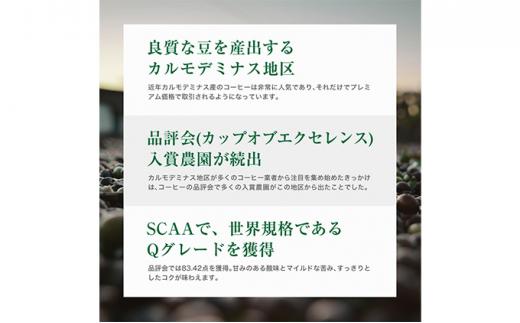 【豆】#901 ブラジル カルモデミナス Qグレード コーヒー豆 310g 当日焙煎 大山珈琲