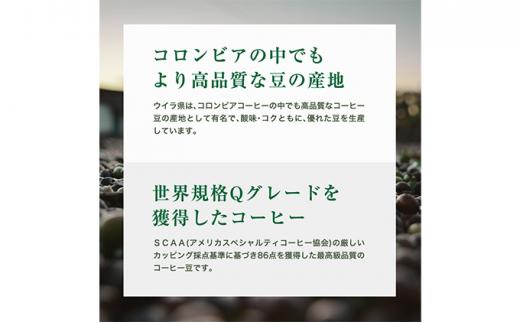 【粉】#903 コロンビア エキセルソ Qグレード コーヒー豆 310g 当日焙煎 大山珈琲