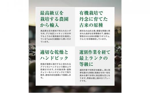 【粉】#123 エチオピア モカ シャキッソ ナチュラル G1 コーヒー豆 310g 当日焙煎 大山珈琲