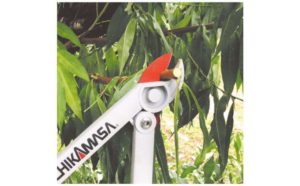 庭木のお手入れに　剪定ツールセット（ロッパー・剪定鋏2点セット）