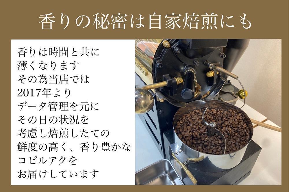 【定期便　全6回】最高級コーヒー コピルアク 100g【豆状】