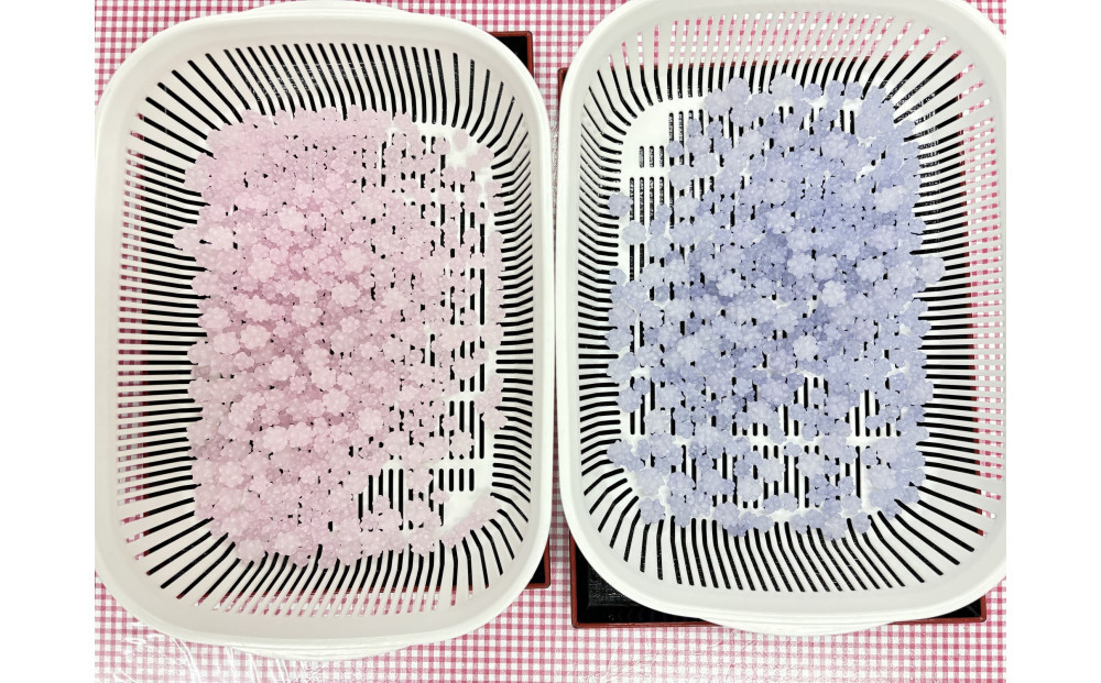 プレミアムこんぺいとう工房　体験チケット　【プラスお持ち帰り用瓶】