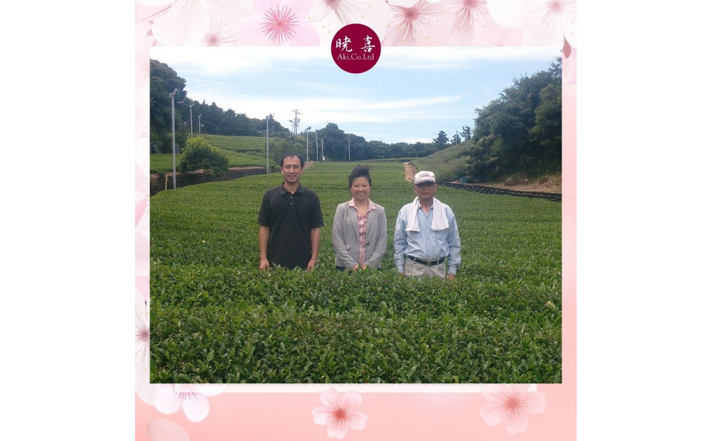 美人しそ茶と美人さくら有機煎茶(各10パック)