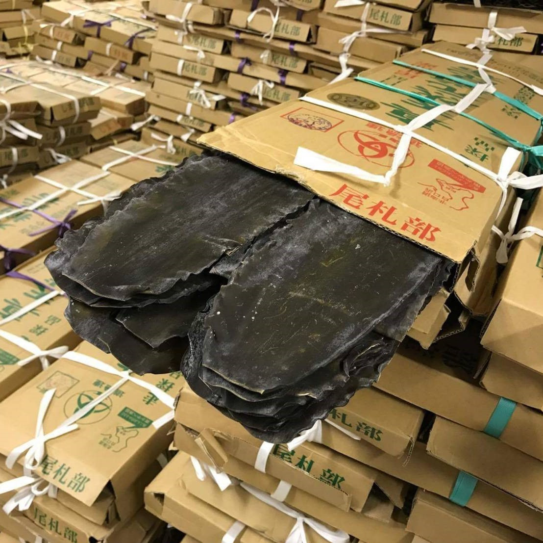 こんぶ美人・養命酢2本＆美人しそ茶1p5