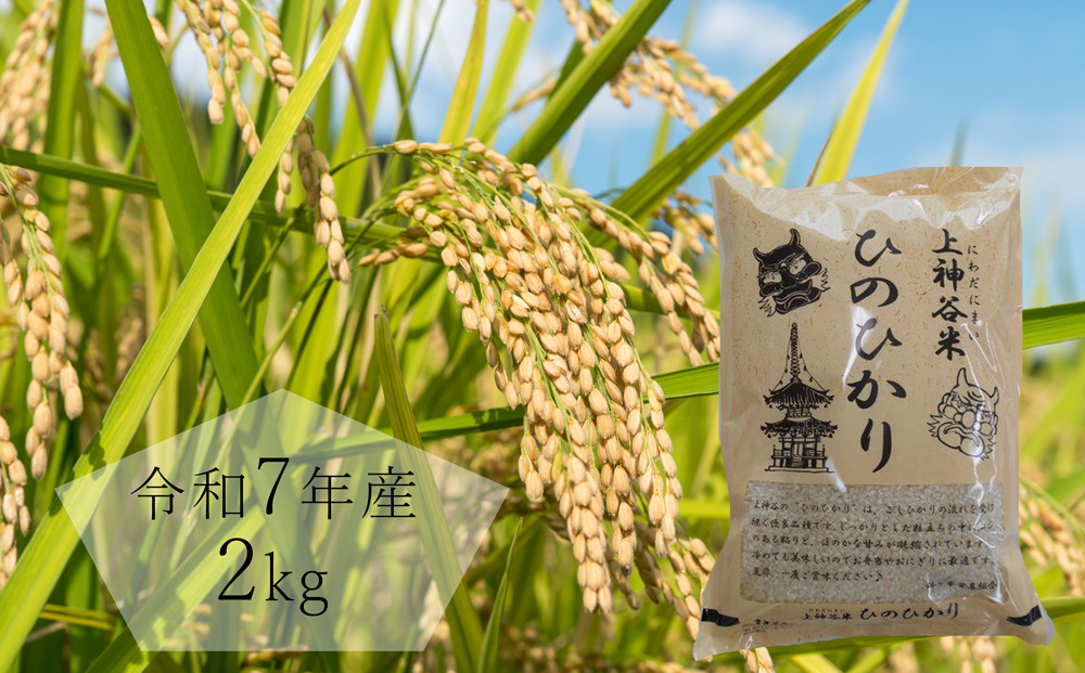 令和7年度産　上神谷米（にわだにまい）ひのひかり 2kg