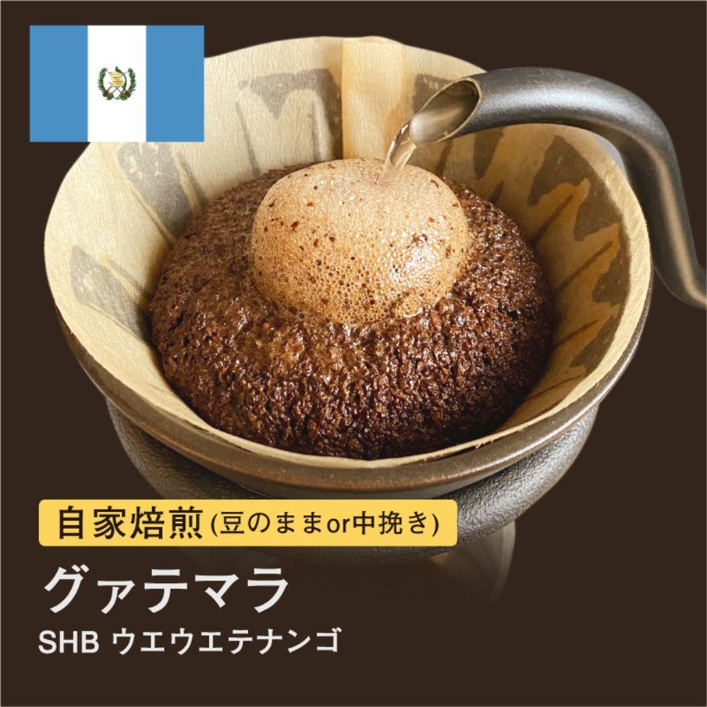 【豆】#004 グァテマラ SHB ウエウエテナンゴ コーヒー豆 310g 自家焙煎 大山珈琲