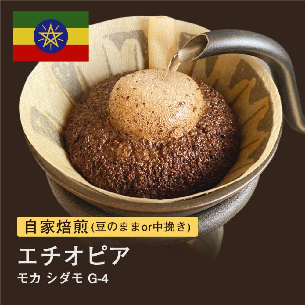 【豆】#012 モカ シダモG-4 コーヒー豆 310g 当日焙煎 大山珈琲