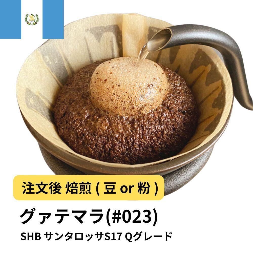 【粉】コーヒー #023 グァテマラSHB サンタロッサS17 310g 当日焙煎 大山珈琲