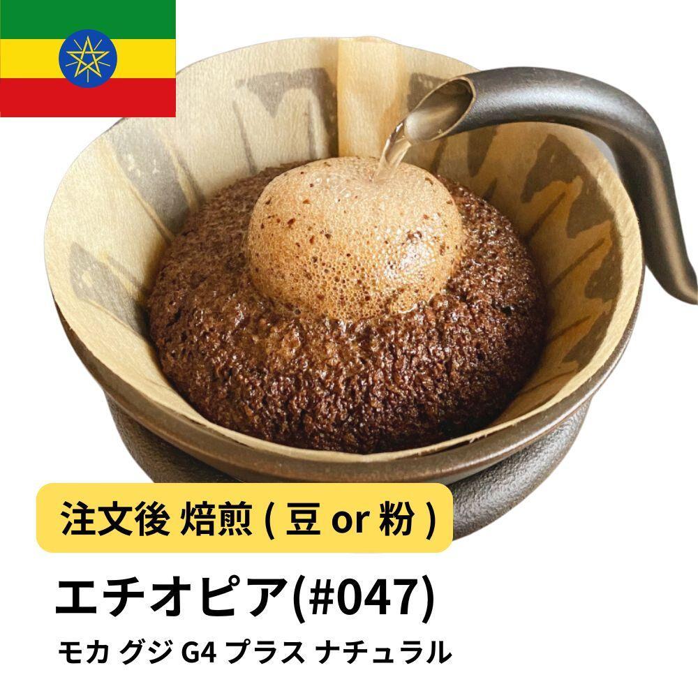 【粉】コーヒー #047 モカ グジ G4 プラス ナチュラル 310g 当日焙煎 大山珈琲