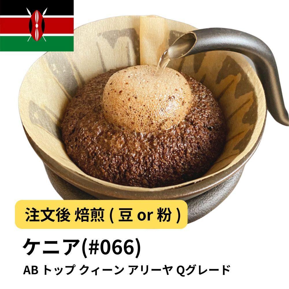 【豆】コーヒー #066 ケニア AB トップ クィーン アリーヤ Qグレード 310g 当日焙煎 大山珈琲