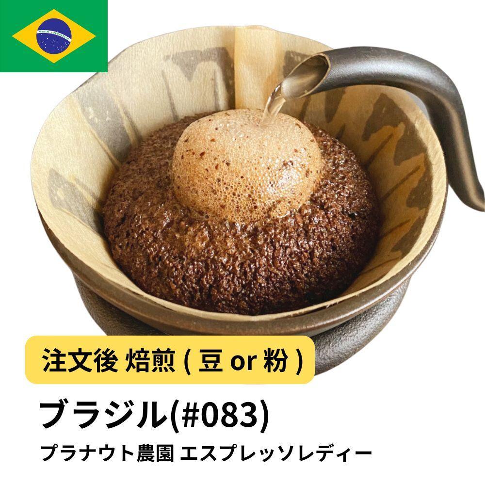 【豆】コーヒー #083 エスプレッソ レディー プラナウト農園 310g 当日焙煎 大山珈琲