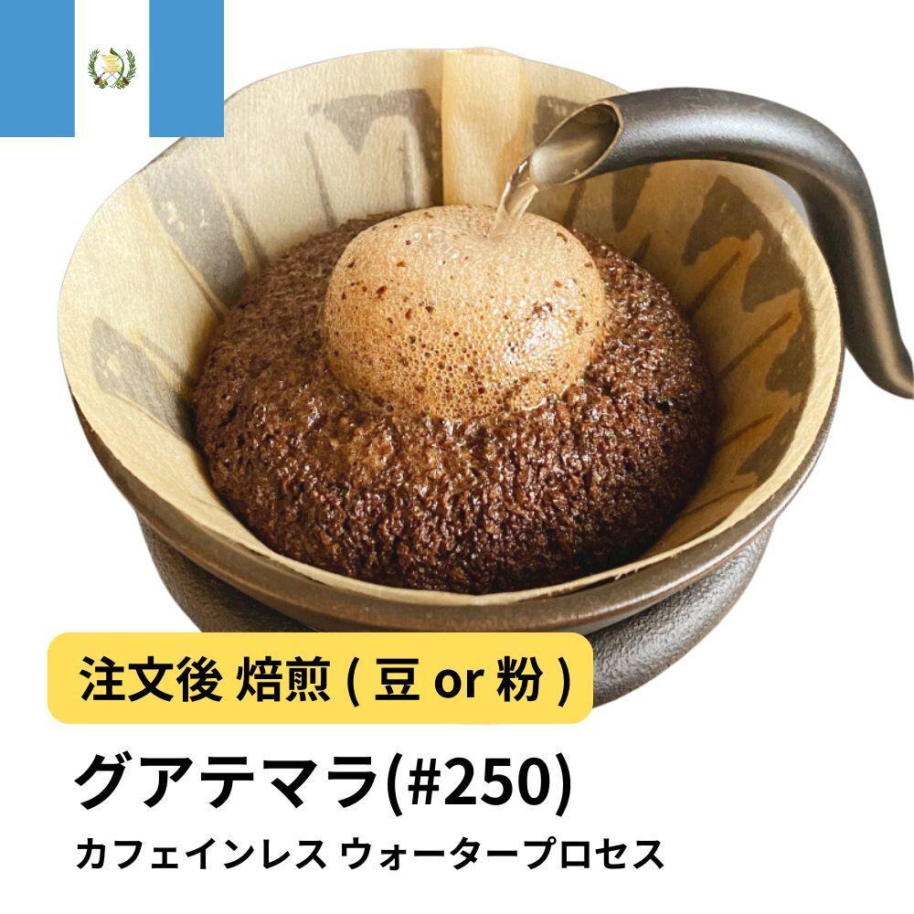 【粉】コーヒー #250 グアテマラ デカフェ ウォータープロセス 310g 当日焙煎 大山珈琲