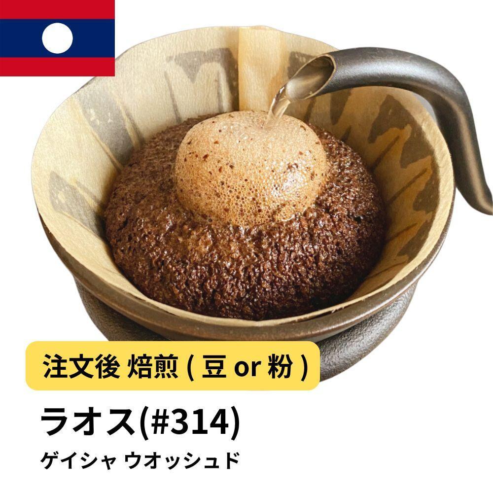 【粉】コーヒー #314 ラオス ゲイシャ100% ウオッシュド 310g 当日焙煎 大山珈琲