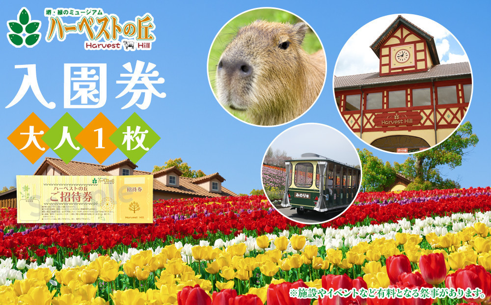 ハーベストの丘入園券　大人